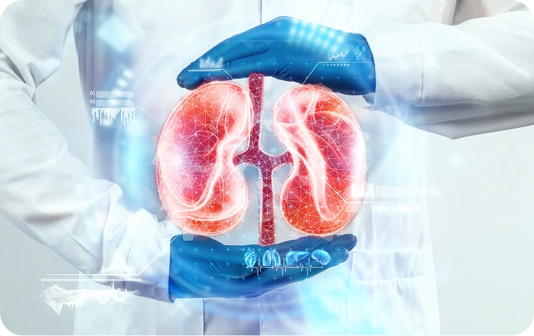 Kidney Assistance